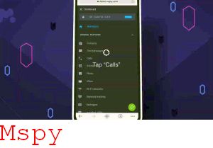 Mspy Descargar